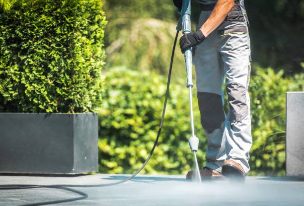 Best Fence Cleaning  in Aurora, IN